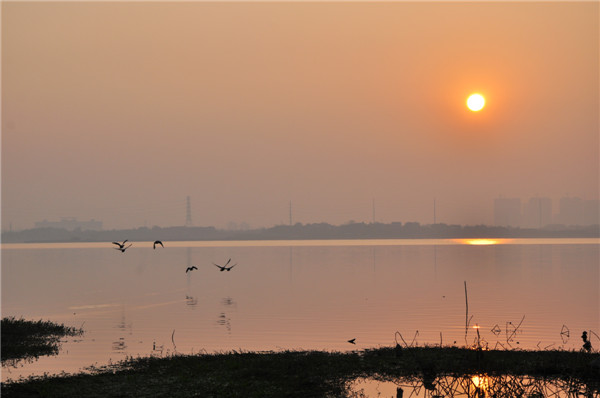 黄家湖之晨